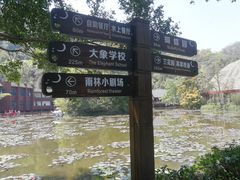 -野象谷景区