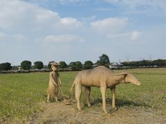 -嘉北郊野公园