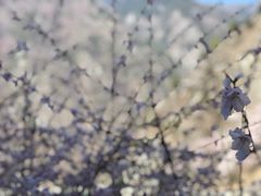 -叠溪松坪沟景区