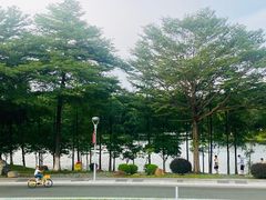 -东莞植物园