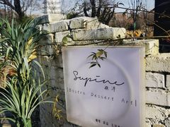 -Supine Bistro溯泮餐厅