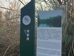 -桤木河湿地公园