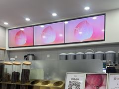 -雾与山茶(大禹城店)
