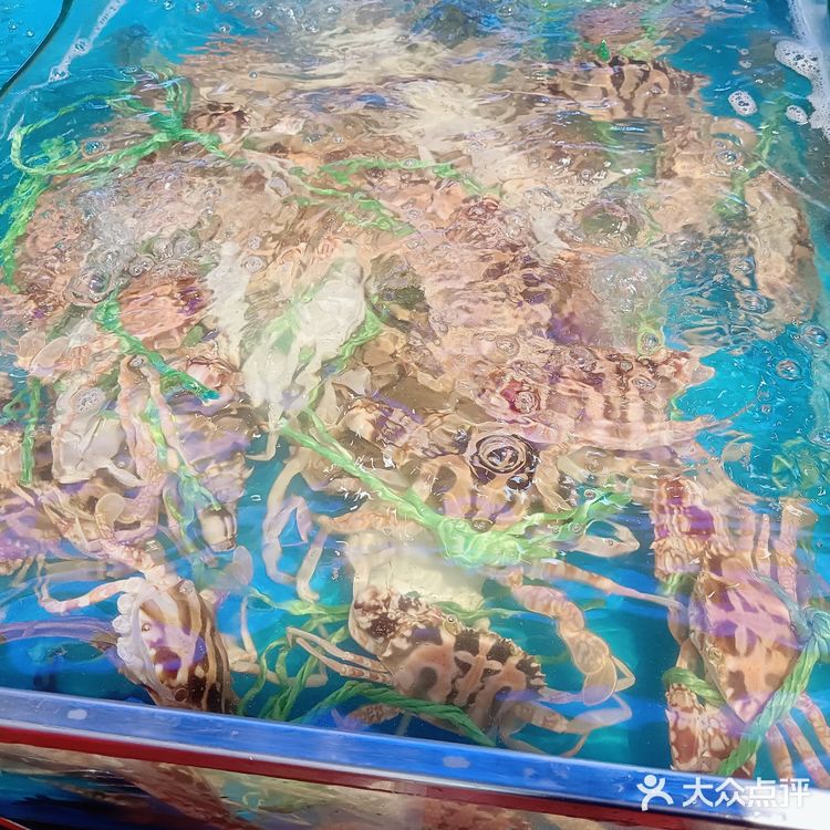 厦门集美顶级海鲜自助餐