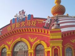 -俄罗斯国家大马戏团