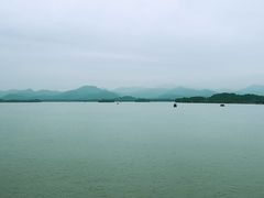 -湖畔居茶楼(湖滨店)