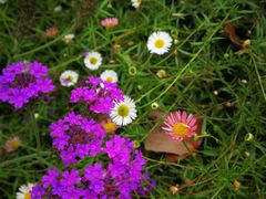 -白鹭湾湿地公园