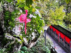 -终南山南五台景区