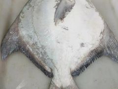 -拉威海鲜市场