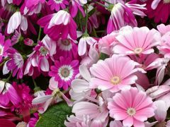 -重庆动物园·东二门售票处