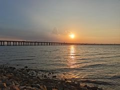 -宝安西湾红树林湿地公园