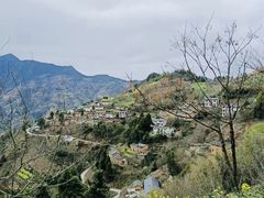 -新安江山水画廊风景区