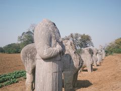 -小郎牛牛肉汤馆(珠江路店)