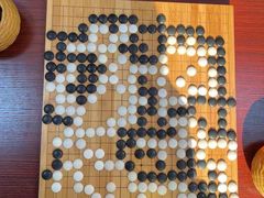 -智韵素养黎明练字(莘庄校区)