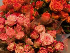 -循礼门鲜花花市(武汉循礼门店)