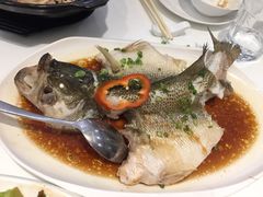 -至潮餐厅精致粤菜·活鲈鱼·走地鸡(珠江新城店)
