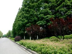 -太阳岛度假酒店