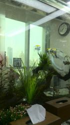 android_upload_pic-小左美发