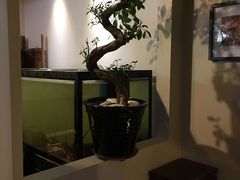 -同乐酒楼(皇后镇店)