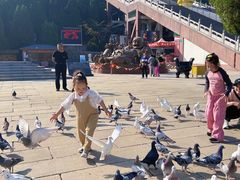 -龙口南山旅游景区