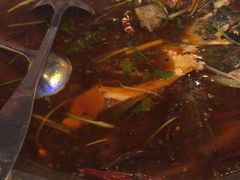 -红牌美蛙鱼头火锅(万辉国际广场店)
