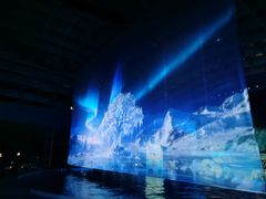 -海合安武汉极地海洋公园