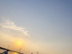 -奉贤海滩