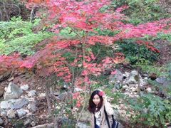 -大连天门山国家森林公园