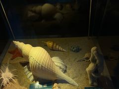 -梦幻海洋王国(吾悦广场张家港店)