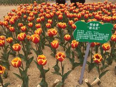 -江南大学(蠡湖校区)
