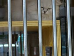 -三旗百汇商品城