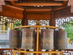 -上海东林寺(金山区)