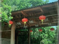 -雁南飞茶田景区