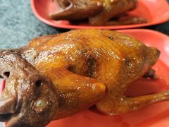 -光明刘冰乳鸽店(光明法政北路店)