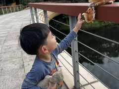 -云溪植物园
