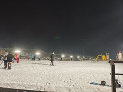 -采薇庄园四季滑雪场