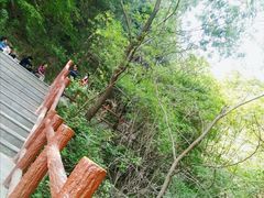 -王顺山国家森林公园
