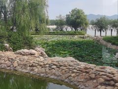 -大连铭湖国际观光牧场