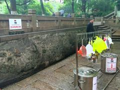 -白沙古井