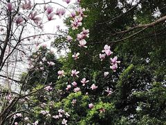 -乌山风景区