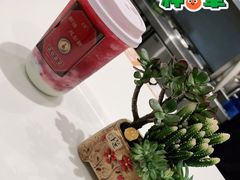 -古茗(花都骏壹万邦店)