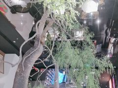 -桂满陇·海市蜃楼·黑金(国金店)