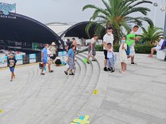 -碧海金沙