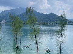 -广州市流溪河国家森林公园