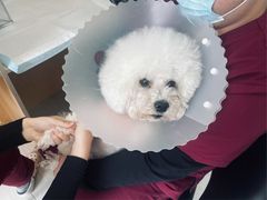 -美联众合动物医院·24h京西诊疗中心