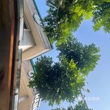 中山探店｜这杯咖啡也不是非喝不可🙅