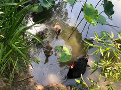 -长兴太湖图影湿地文化园