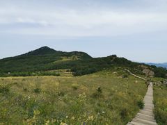 -白草畔自然风景区