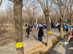 -永定河休闲森林公园