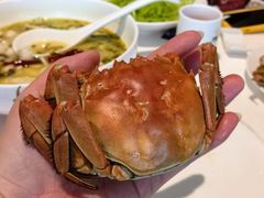 -大铁勺新津菜(迎水道店)